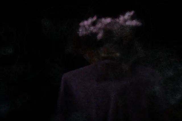 bonsai COLMAP init Ellipses