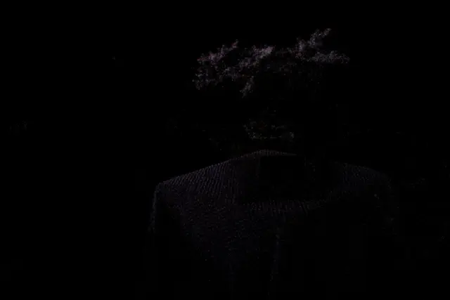 bonsai COLMAP init Point Clouds