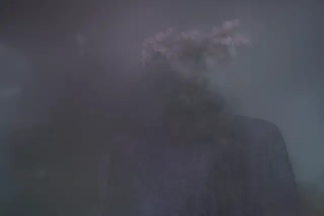 bonsai COLMAP init Rendered