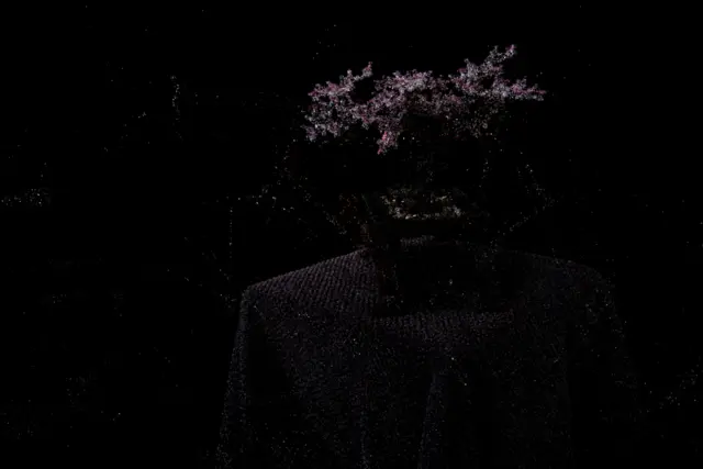 bonsai Trained model Point Clouds