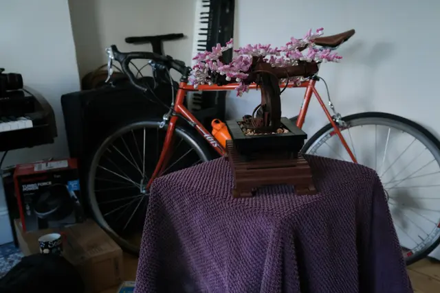 bonsai Trained model Rendered