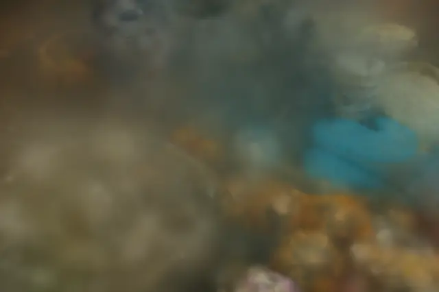 counter COLMAP init Rendered