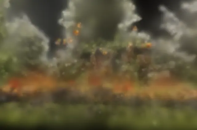 flowers COLMAP init Rendered