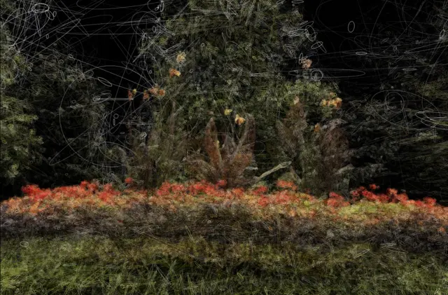 flowers Trained model Ellipses