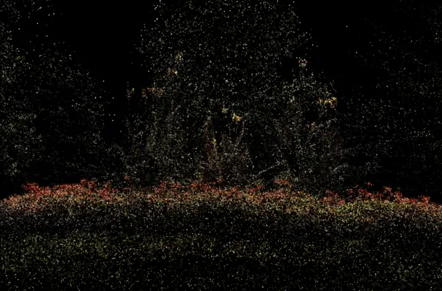 flowers Trained model Point Clouds