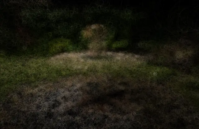 garden COLMAP init Ellipses