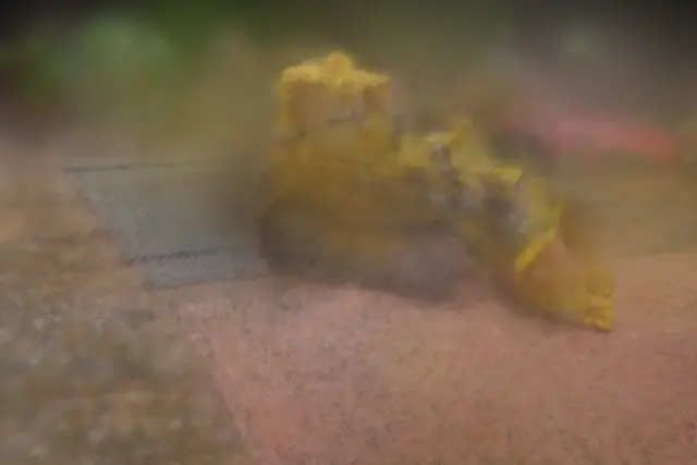 kitchen COLMAP init Rendered