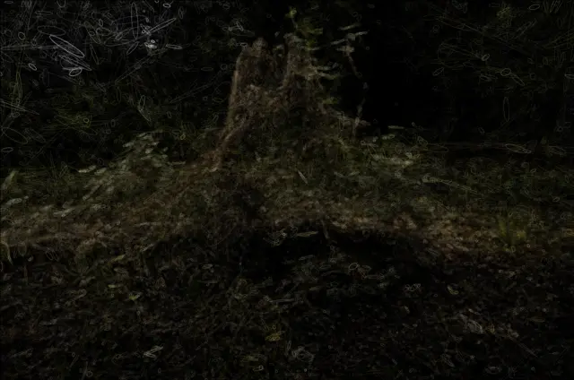 stump Trained model Ellipses