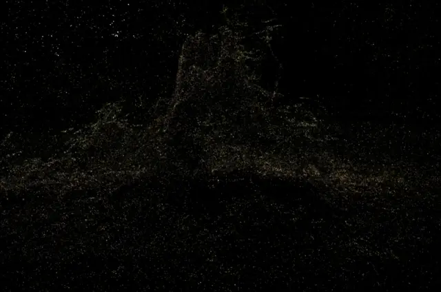 stump Trained model Point Clouds