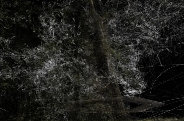 treehill Trained model Ellipses