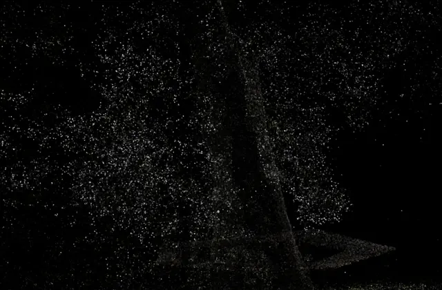 treehill Trained model Point Clouds